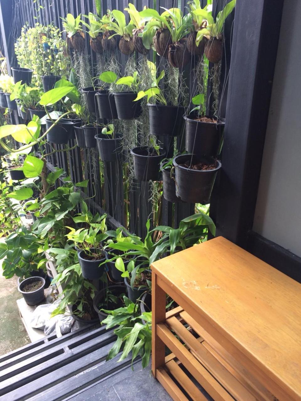 Decho Hostel 코 리페 외부 사진